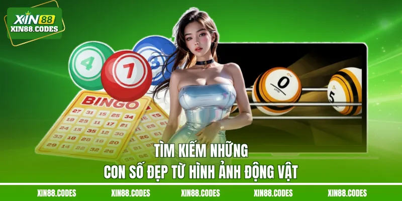 Tìm kiếm những con số đẹp từ hình ảnh động vật
